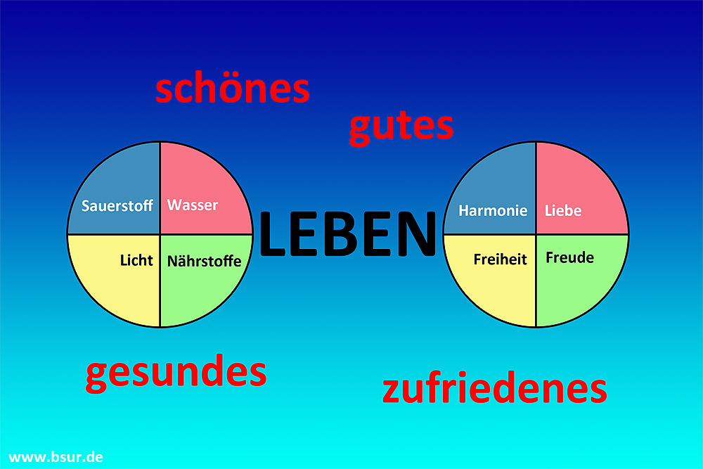 für ein gutes Leben gutes Leben