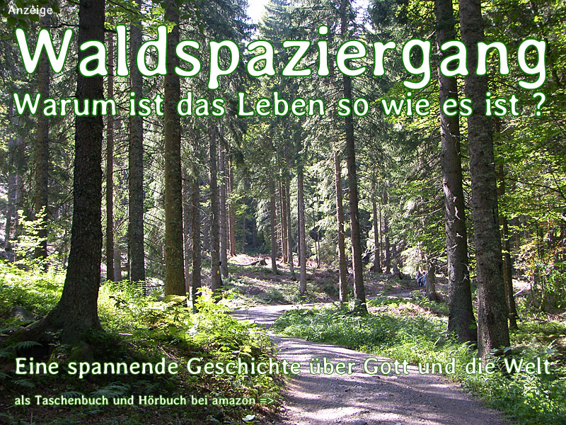 Waldspaziergang