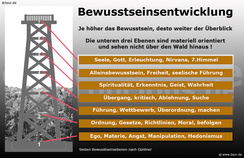 Bewusstseinsentwicklung Bewusstseinsentwicklung