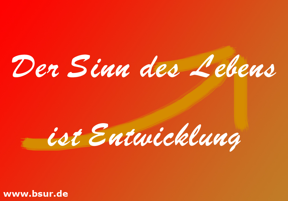 Der Sinn des Lebens Der Sinn des Lebens