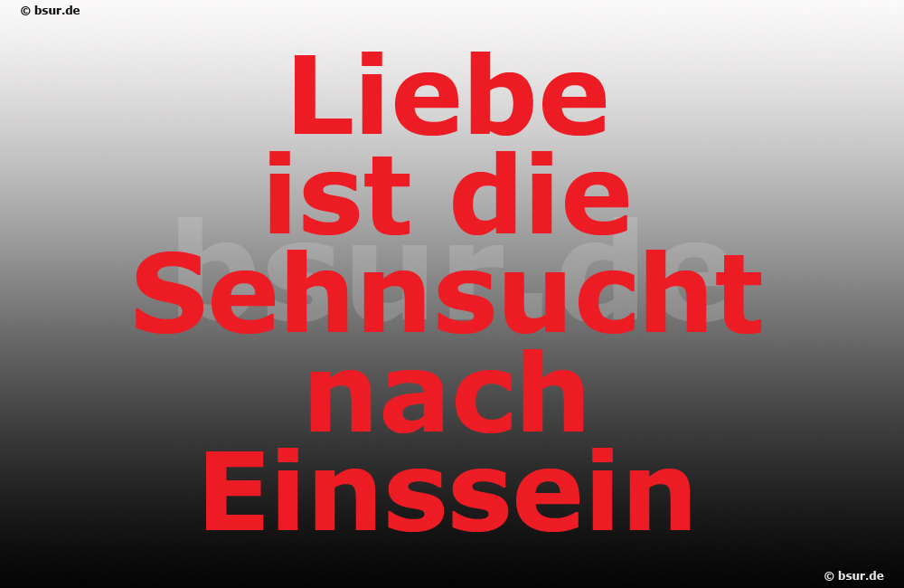 Liebe ist Liebe ist