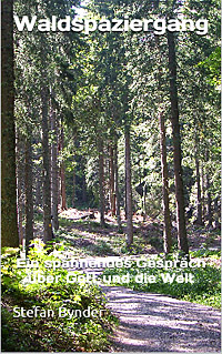 Buch Waldspaziergang